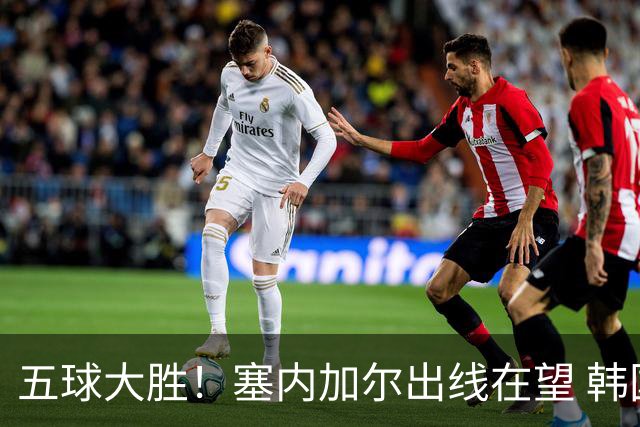 五球大胜！塞内加尔出线在望 韩国晋级仅剩理论希望