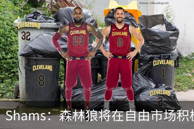 Shams：森林狼将在自由市场积极补强4号位 但他们只能提供底薪
