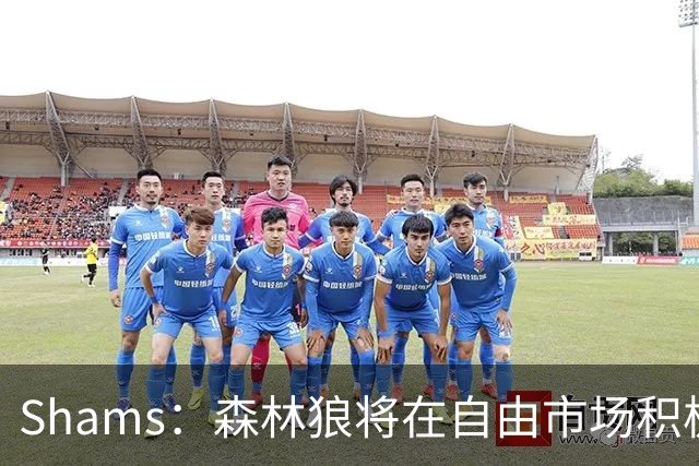 Shams：森林狼将在自由市场积极补强4号位 但他们只能提供底薪